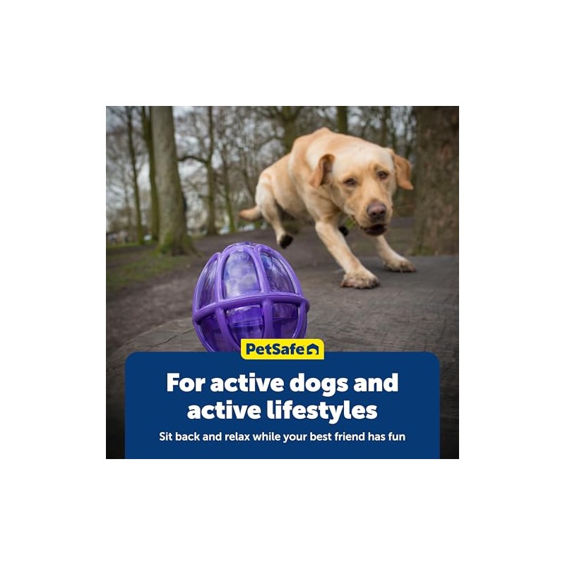 petsafe Busy Buddy Kibble Nibble Meal Dispensing Dog Toy, Small