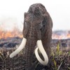 Itonash Mammoth Model, Simulation Old Animal Figures Mammoth, Realistic Prehistoric