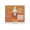 Gel Conductor De Árnica Facial & Corporal Aparatología 1 L