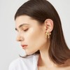 Aucuu Chunky Earrings, 18k Earrings Dupes for Women, Hypoallergenic Waterdrop