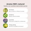 PRAHYAM Aceites Esenciales de Aromaterapia Roll On 10 ml, Migralif
