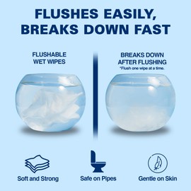 Air Jungles Flushable Wipes Individually Wrapped 50 Ct, On-the-Go Butt Wipe with Aloe Vera & Vitamin E, Travel Size Ultra Soft for Adult and Kid, 97% Water - XL 7 X 7 in, Fresh Scent