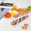 Egg Holder for Refrigerator, 2 Tier Rolling Eggs Storage Refrigerator,