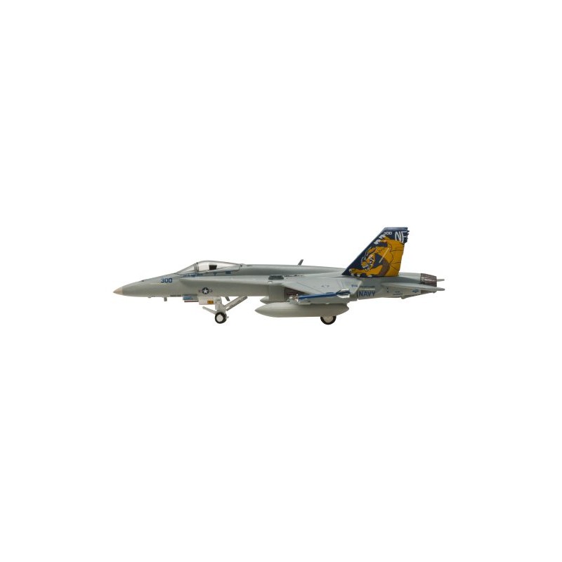 Daron hogan 1/200 F/A-18C VFA-192 NF300 CAG 2003 完成品