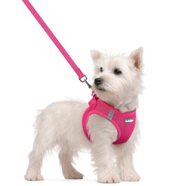 rabbitgoo Dog Harness Small Sized and Leash Set, Step in Soft Light Puppy Vest, Breathable Mesh Pet Harness, Reflective for Safe Easy Walking, Rose Red S