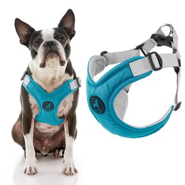 Gooby Turquoise Memory Foam Harness, Large - Breathable, Scratch Resistant, No-Pull Dog Harness for Small Dogs