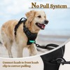 rabbitgoo Dog Harness No Pull with 2 Leash Clips, Adjustable
