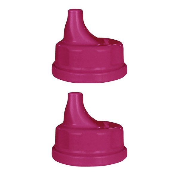 Lifefactory Glass Baby Bottle 9oz and 2 Transitioning Sippy Caps (Raspberry)