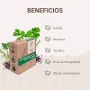 3 Pack Jabón Artesanal Corporal Cuidado Natural Vegano 100 G