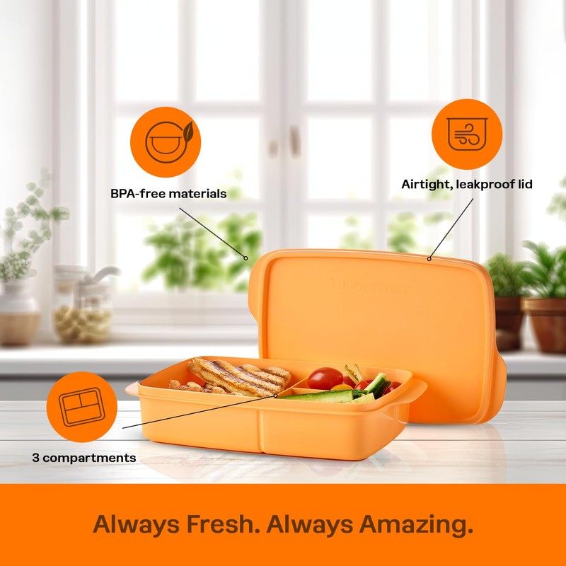 Tupperware Lunch-It Portion & Go Lunch Box Food Storage Container,