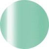 ageha Cosmetics Color 124 Gloss Mint [Gel / Color Gel,