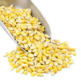 Organic Whole Yellow Corn Kernels, Nutty Flavor, High Fiber and Protein, Bulk, 50 lb