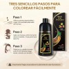 Bobo Shampoo Con Tinte Cubre Canas Natural Jengibre