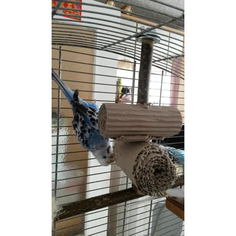 Vogelgaleria® 6-Piece Shredder and Nibbler Set for Birds, Basic Equipment