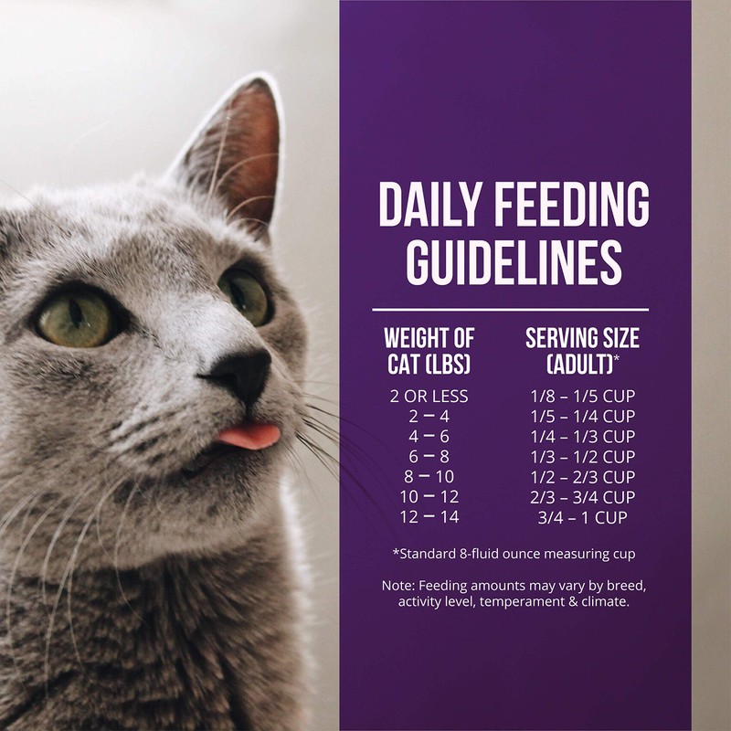 Fussie Cat Market Fresh Quail & Duck Meal Formula Grain-Free