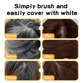 Hair Dye Comb, dark brown hair dye, Hair Colour Stick, 2 in 1 Hair Concealer, Even and Effective Coverage, Gentle Formula, Easy to Use, Compact and Portable, 20g(Black brown)
