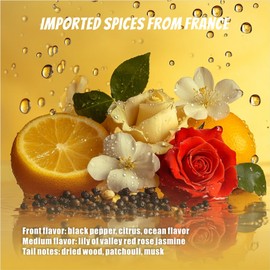 CARORI Car Air Freshener Hanging, Essential Oil Diffuser for Car, New Car Smell Air Freshener Cute, Long Lasting Air Freshener for Car, Car Fresheners for Women/Men-Fantasy Versailles Car scenting