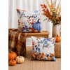 Fall Pillow Covers 18x18 Set of 2 Velvet Farmhouse Rustic