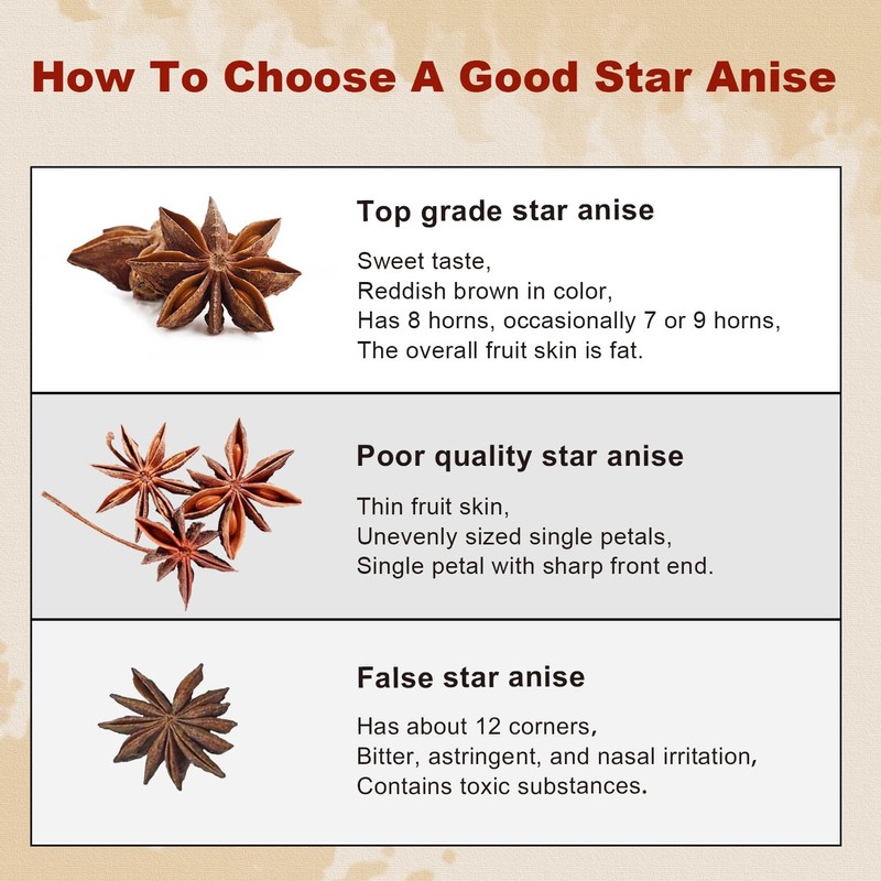 52USA Star Anise, 16 Ounce (Pack of 1), NON-GMO Verified