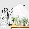 Full Spectrum 84 LED Grow Light for Indoor Plants, 6500K
