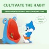 Children's Urinal, Potty Training Urinal with Frog, Potty Training Wall