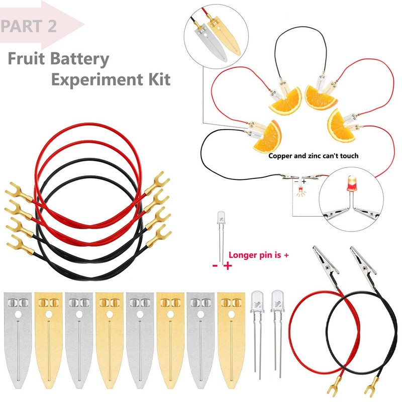 Delinx STEM Science Kit, Magnets Learning,Basic Circuit Learning,Fruit Battery Experiment,Green