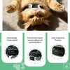 Pack de 3 Custom Slide On Silent Pet ID Tags,