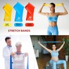 KEPON Resistance Bands, Exercise Bands, Workout Bands, Resistance Bands for