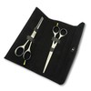 Professional 6.5 Inch Hair Scissors & Thinning Shears Texturing Set