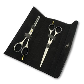 Professional 6.5 Inch Hair Scissors & Thinning Shears Texturing Set Premium Stainless Steel for Precision Cutting Sharp Blades for Effortless Styling Salon Quality Cuts Hairdressing Tools (Silver)