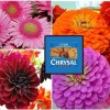 Chrysal CVBN Tablets 800 count jar clear odorless water Flowers