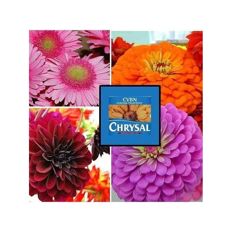 Chrysal CVBN Tablets 800 count jar clear odorless water Flowers