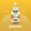 Cordyceps Adaptogeno, 200 Cápsulas (2 Frascos 100 Cap C/u) Sabor