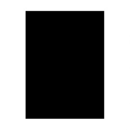 Legion Supplies Double Matte Sleeves (50)