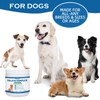 Folic Acid for Dogs - Dog Prenatal Vitamins with B12,