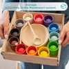 Wooden Color Matching Montessori Toy, Balls in Cups:_Small