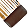 1610 Professional Watercolor Paint Brushes,Biaelk 10PCS Variety Brushes for Beginners
