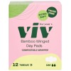 Viv for Your V Bamboo Organic Pads for Women |