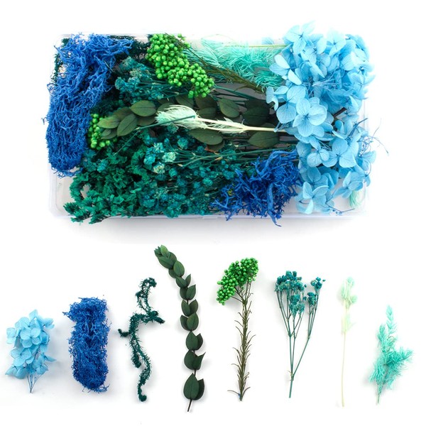 1 Box Natural Dried Flowers, Natural Mixed DIY Natural Dried Flowers Set for Arts Crafts DIY Resin Scrapbooking Craft Cards Making (Blue)