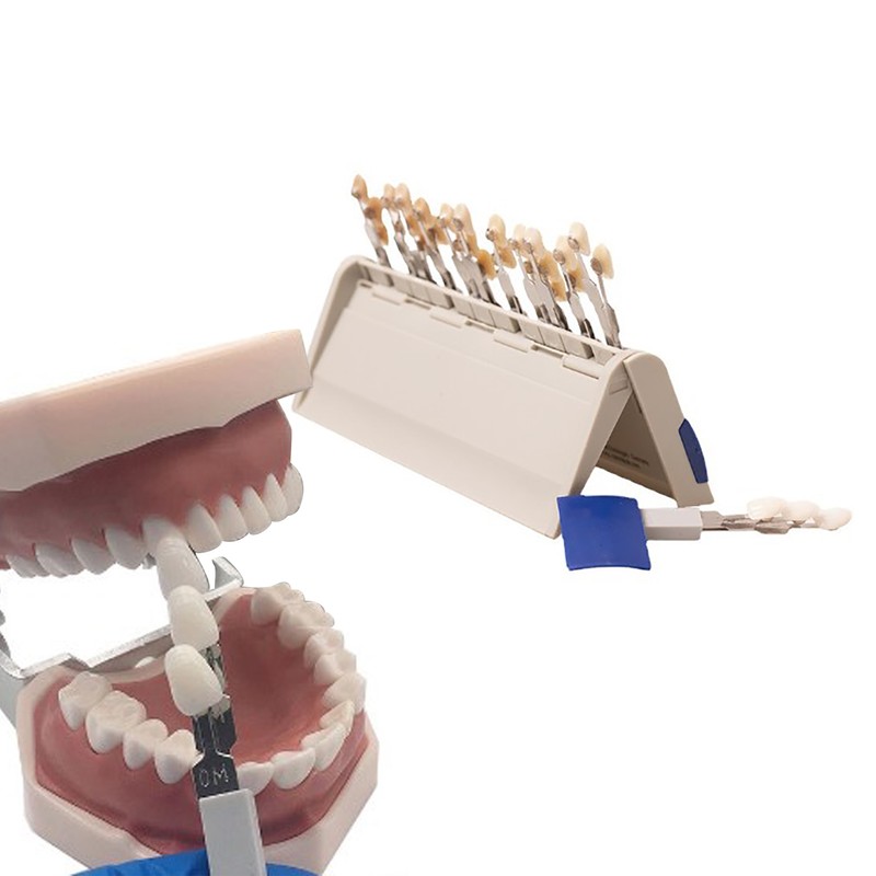 Teeth Whitening Shade Guide 29 Colors Comparison Individually Removable Tooth