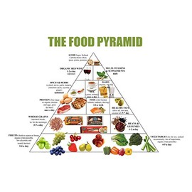 Food Pyramid Healthy Eating Meal and Diet Plan 13x19 Poster