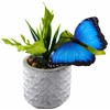 BWG Garden Clip On Butterflies - Plastic 13cm Wing (Set