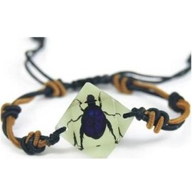 Chafer Beetle Bracelet - Black Beetle with Blue Highlights in a Faceted Jewel Shaped White Setting