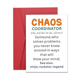 Funny White Elephant Gifts for Adults Secret Santa Gifts for Coworker Him Coworker Christmas Gifts Bulk Boss Day Gifts for Him Her Women Men Chaos Coordinator Coworker Leaving Gifts for Work Bestie