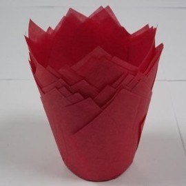 Tulip Strawberry Muffin Wrap