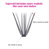 Cluster Lashes 20D DIY Eyelash Extension C D Curl Individual