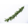 ACES Real Feel Dense Norfolk Pine Christmas Garland - 68"