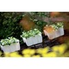 NEW PLASTIC BALCONY WHITE CROWN POT FLOWER PLANTER RAILING 24CM