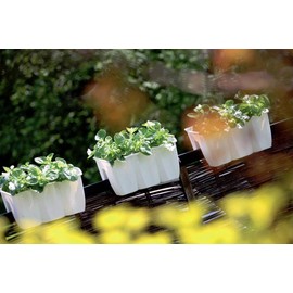 NEW PLASTIC BALCONY WHITE CROWN POT FLOWER PLANTER RAILING 24CM (CRO24)