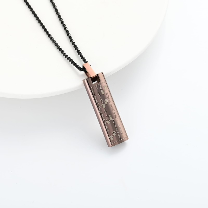 QGJNSGC Urn Necklace for Ashes Pet Paw Print Cremation Jewelry